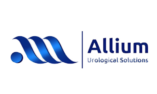 ALLIUM.jpg